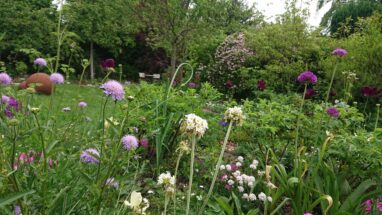 Gartenbau Aladdin 15