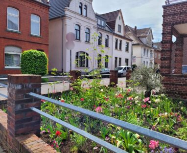 Gartenbau Aladdin 17