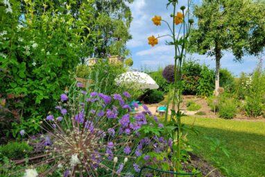 Gartenbau Aladdin 11