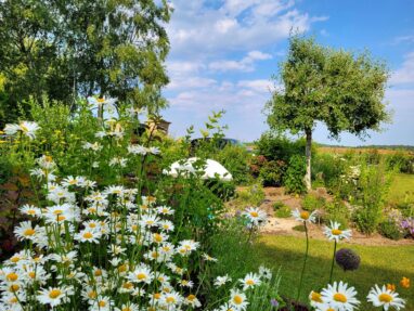 Gartenbau Aladdin 12