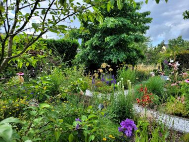 Gartenbau Aladdin 14